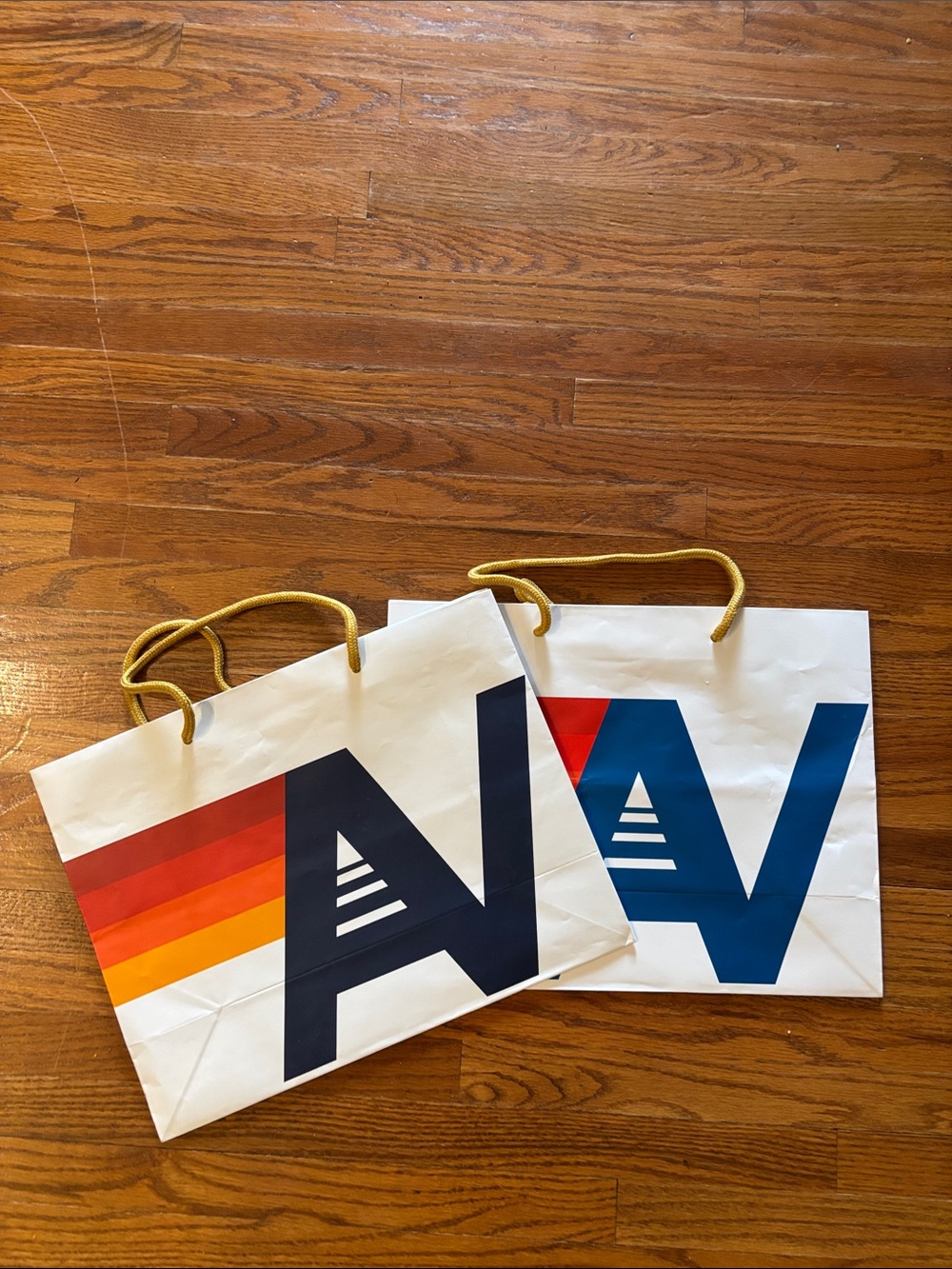 2 Aviator Nation shopping bags